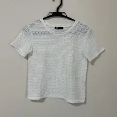 ZARA ホワイト 半袖Tシャツ レース編み