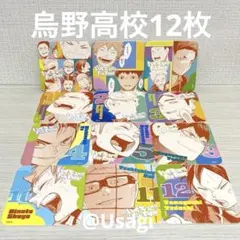 ハイキュー‼︎ ファンパーク　アートコースター　烏野12枚セット
