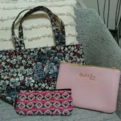 ポール&ジョー ☆ナイロントート＋ポーチ＋ペンケース(小物入れ)