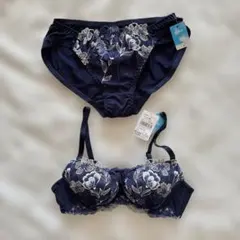 fran de lingerie ブラジャーショーツセット　ネイビー　B75