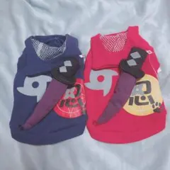 Item thumbnail for item a273a099-07f3-4335-b7c2-7b070850b580