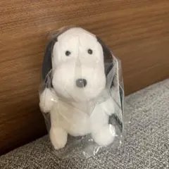 バムとケロ ヤメピ ぬいぐるみのサムネイル