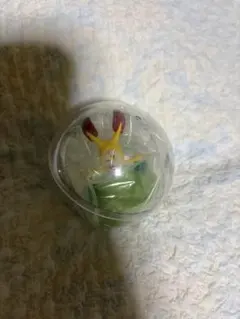 こびと図鑑　カプリウムコレクション ホトケアカバネ