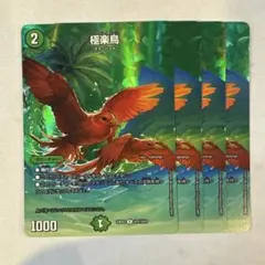 2026年最新】剥製 極楽鳥の人気アイテム - メルカリ