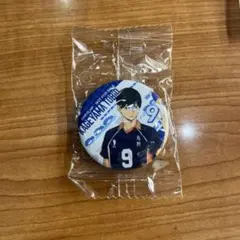 ハイキュー くら寿司 ビッくらポン 影山飛雄