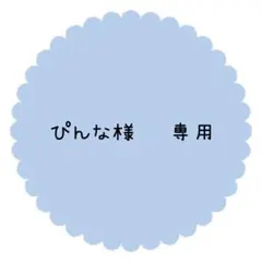 【ぴんな様専用】