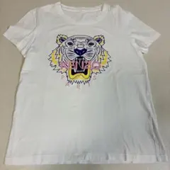 Item thumbnail for item 3fae4c63-9ece-47d0-86ba-0578048423b7