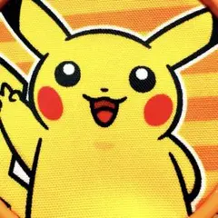 2004年当時モノ❗️ポケモン ピカチュウ 丸型コインケース 新品タグ付き