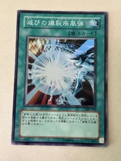 2025年最新】滅びのバーストストリームの人気アイテム - メルカリ