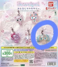 ジュエルペット めじるしアクセサリー サフィー ガチャ サンリオ