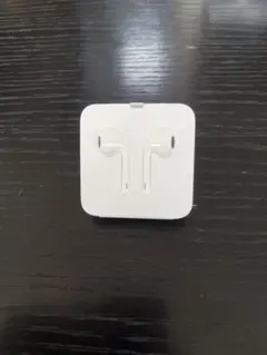 iPhone 純正　イヤホン イヤフォン　ライトニング