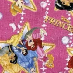 ディズニープリンセス 生地 はぎれ ハンドメイド 入園 入学 ピンク 46×80