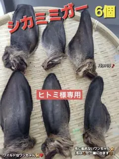 【胃腸ケア】鹿ミミガー　天然おやつ♪ 6入り 胃腸ケア】鹿ミミガー 天然おやつ♪ 6入り - メルカリ