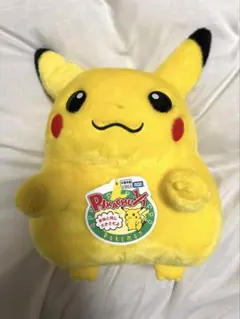 pokemon おかえり!ピカチュウ1/1