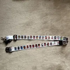 東京ディズニーリゾート30周年　イマジニングザマジック　実写ストラップ