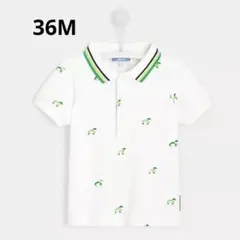 Item thumbnail for item bffb46c3-d6a1-4c99-b7ff-c16e6b500915