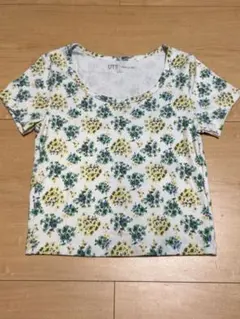 ユニクロ Paul & JOE Sサイズ　Tシャツ　クロップド丈