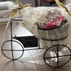ダッフィー＆シェリーメイ結婚式ウェルカムアイテム