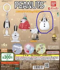 peanuts めじるしアクセサリーFUNNY スヌーピーE