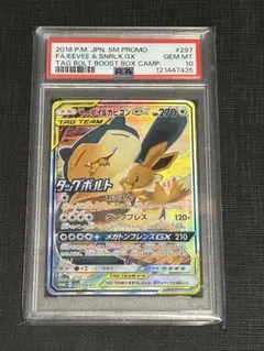 2026年最新】カビゴンgx プロモ psa10の人気アイテム - メルカリ
