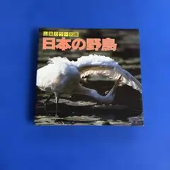 Item thumbnail for item 968be24d-c0e1-4245-ac3a-3833405ff2ca