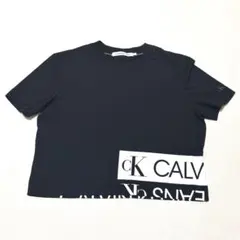 CALVIN KLEIN カルバンクライン ロップドTシャツ Lサイズ 黒