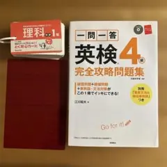 Item thumbnail for item 252de285-94db-4904-aece-2f09a647ad42