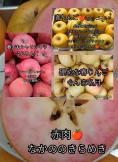 信州りんご4種ミックス2kg 赤肉りんごなかののきらめき&サンフジ入 家庭用のサムネイル
