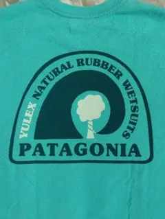 patagonia ターコイズ Tシャツ Sサイズ