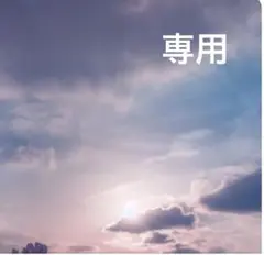 専用