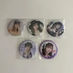 仲川瑠夏FRUITSZIPPER 缶バッジ 5個