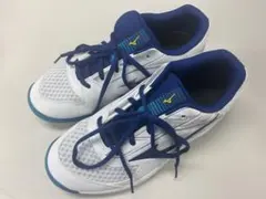 Item thumbnail for item 393d4969-859e-4c43-93c4-b67a3b1927d9