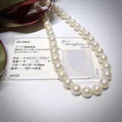 Item thumbnail for item 1faf5f60-05ce-4cd5-91ef-49d2bdef93b8