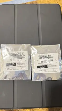 進撃の巨人 進撃の温泉＆サウナ調査 缶バッジ 2種セット