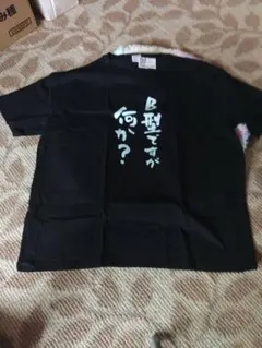 B型ですが何か？ Tシャツ ブラック 3XL