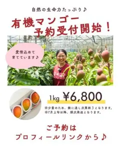 81. マンゴー 4kg 家庭用 傷黒点あり 特殊なマンゴー入り - メルカリ