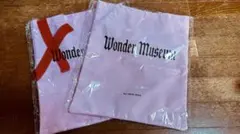 Mrs. GREEN APPLE Wonder Museum福岡限定 バッグ1個