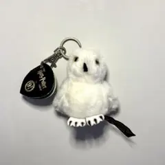 Item thumbnail for item b1dc179a-7a3f-43cc-a485-80627d2d175a