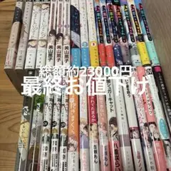 立野真琴さん漫画29冊（BL漫画20冊 少女漫画9冊） バラ買いはまず相談