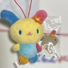 《先着優先！》ウサハナ セット販売