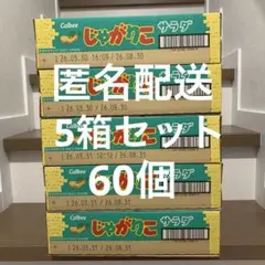 Calbee じゃがりこ サラダ味 5箱セット