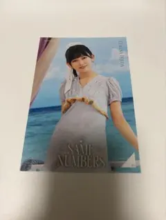 乃木坂46same numbersポストカード　池田瑛紗