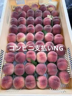 桃(日川)秀品 特大5個 60サイズ箱入り - メルカリ