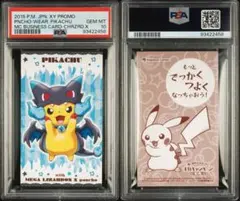 672.強カワ ピカチュウ メガキャンペーン ポンチョ メガ リザードン