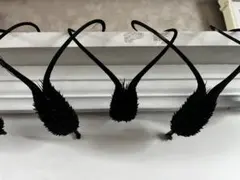 ツノゴマ　悪魔の爪　厄除け　魔除け　5個セット