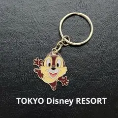 상태좋음 東京ディズニーリゾート チップ キーホルダー
