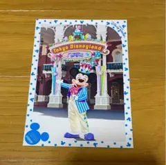 ディズニー　スペシャルフォト　スペフォ　イースターワンダーランド　ミッキー✨
