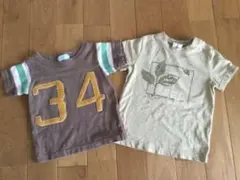 Item thumbnail for item e8b72cbc-dac1-4672-9231-dd730345aef1