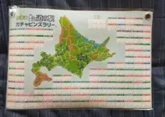 2026年最新】道の駅 ピンズ 大滝の人気アイテム - メルカリ