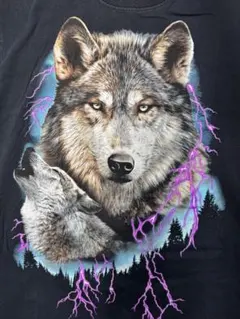 オオカミ 狼 アニマル Tシャツ フルーツオブザルーム ブラック M